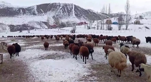 Besicilerin kar altında zorlu mesaisi
