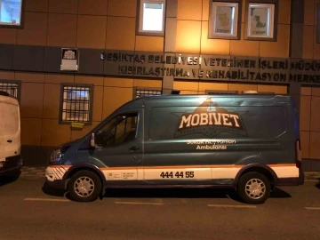 Beşiktaş Belediyesi yangın felaketinin yaşandığı bölgeye hayvan ambulansı gönderdi
