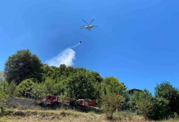 Beykoz Çavuşbaşı’nda çıkan orman yangını söndürüldü
