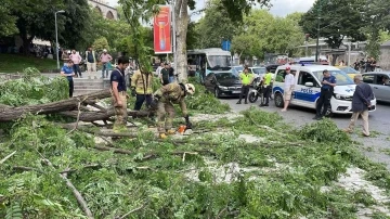Beyoğlu’nda gövdesinden kırılan ağaç yola devrildi: 2’si turist 3 kişi yaralandı

