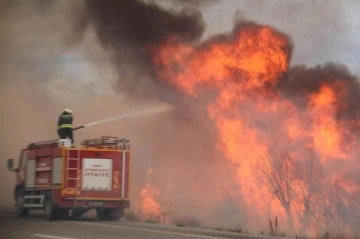 Beyşehir Gölü kıyısındaki sazlıklar alevlere teslim oldu
