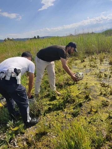 Beyşehir Gölü’nde yasa dışı sülük avına ceza
