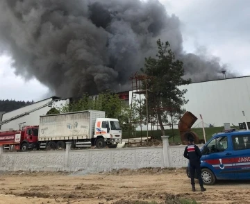 Bilecik’te bir günde ikinci lastik fabrikası yangını
