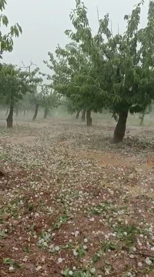 Bilecik’te ceviz büyüklüğünde dolu yağdı
