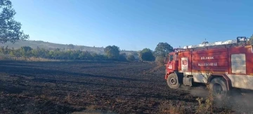Bilecik’te çıkan yangında 130 dönüm buğday ekili alan zarar gördü
