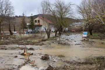 Bilecik’te Karasu Deresi taştı, birçok tarım arazisi ve iki ev su altında kaldı
