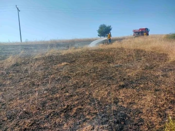 Bilecik’te kuşun elektrik tellerine çarpmasıyla çıkan anız yangını söndürüldü
