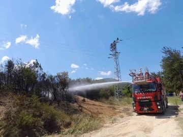 Bilecik’te makilik çıkan yangın büyümeden söndürüldü
