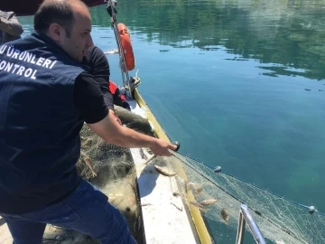 Bin metre misina ağa el konuldu
