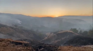 Bingöl’de çıkan orman yangını güçlükle kontrol altına alındı
