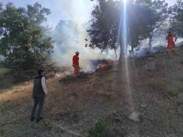 Bingöl’de iki ayrı bölgede çıkan yangınlar söndürüldü
