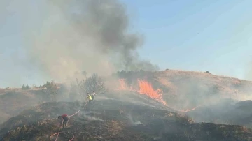 Bingöl’de iki bölgede çıkan orman yangını söndürüldü
