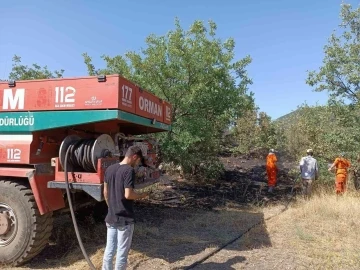 Bingöl’de orman yangını büyümeden söndürüldü
