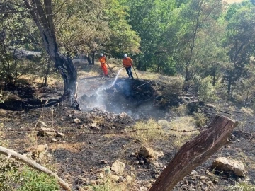 Bingöl’de orman yangını söndürüldü
