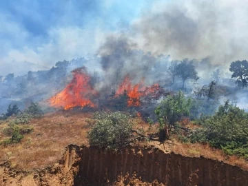 Bingöl’ün 2 ilçesinde orman yangını çıktı: Ekipler seferber oldu
