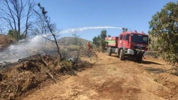 Bingöl'de orman yangını büyümeden söndürüldü