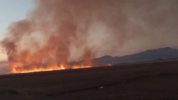 Birçok kuş türünün yaşadığı Nehil Sazlığı alev alev yanıyor