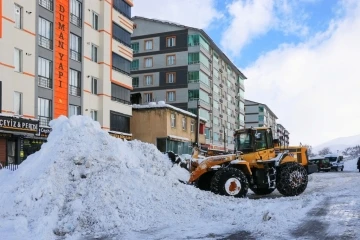 Bitlis’te 162 köy yolu ulaşıma kapandı
