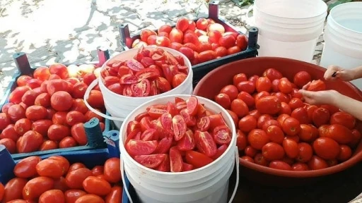 Bitlis’te kadın kooperatifi ilk hasadını gerçekleştirdi
