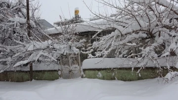 Bitlis’te tek katlı evler ve arabalar kara gömüldü
