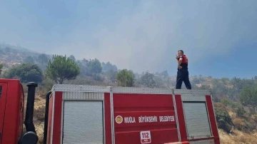 Bodrum’da makilik alanda yangın çıktı
