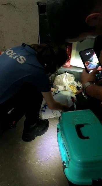 Bodrum katında mahsur kalan kediyi polis ekipleri kurtardı
