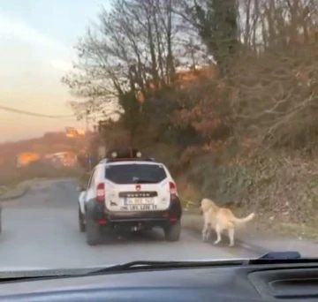 Boğazına ip bağladığı köpeği metrelerce sürükledi
