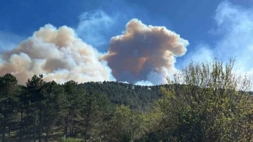 Bolu’da çıkan orman yangını 2 saattir söndürülemiyor, 2 köy tahliye edildi
