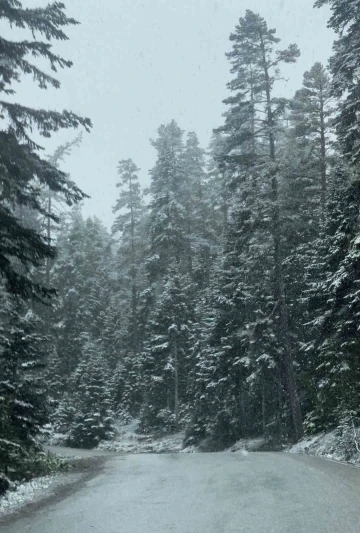 Bolu’da mayıs ayının ortasında kar yağdı
