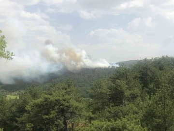 Bolu’da orman yangını
