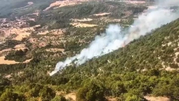 Bolu’da orman yangını: Helikopter ve arazözlerle müdahale ediliyor
