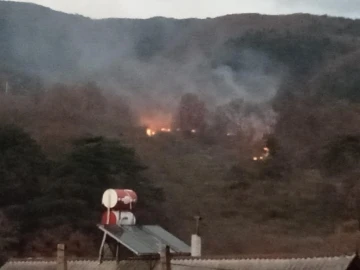 Bolu’da ormanlık alanda çıkan yangın korkuttu
