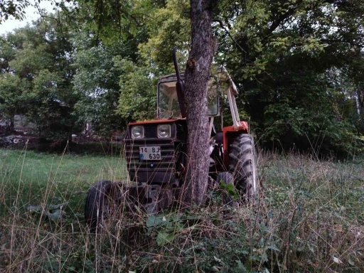 Bolu’da traktör ağaca çarptı: 1 ölü, 1 yaralı
