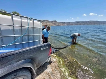 Bolu’da üretilen balıklar Ankara’nın göllerine salındı
