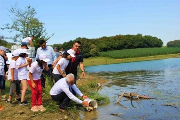 Bolu’da yetiştirilen sazanlar Sakarya’da suyla buluşturuldu
