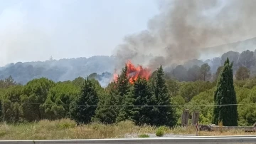 Bornova’da orman yangını
