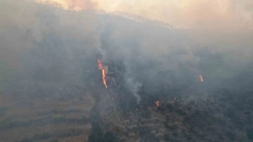 Bozdoğan yangını yerleşim yerlerini tehdit etmeye başladı
