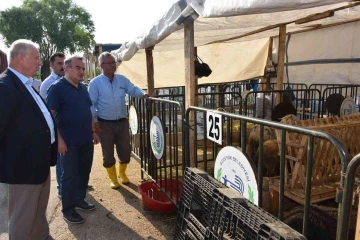 Bozüyük Belediyesi hayvan pazarı bayrama hazır
