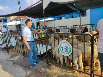 Bozüyük’te kurban satış ve kesim yerlerinde denetim yapıldı
