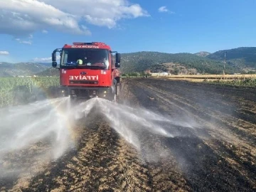 Bucak'ta 60 dekar hububat tarlası yandı