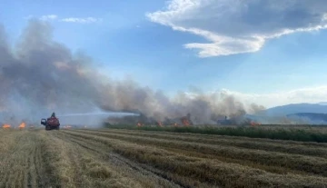 Bucak'ta 850 dekar hububat tarlası yandı