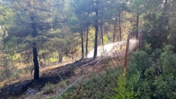 Bucak'ta orman yangını söndürüldü