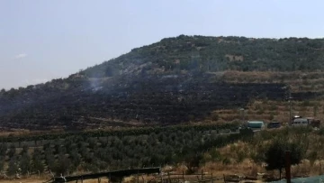 Bucak'ta özel ağaçlandırma sahasında çıkan yangın söndürüldü