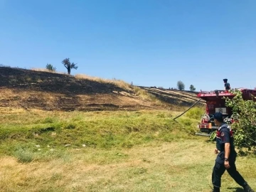 Buğday hasat edilirken çıkan yangın ormana sıçramadan söndürüldü
