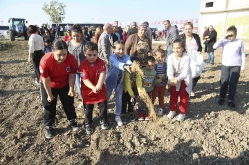 Buğday tohumları toprakla buluşturuldu
