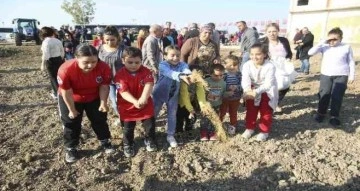 Buğday tohumları toprakla buluşturuldu