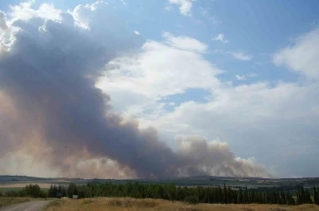 Bulgaristan’daki yangın Edirne sınırına ilerliyor, köy halkı tedirgin
