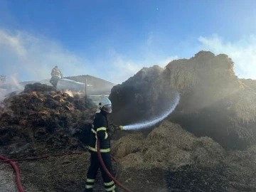 Burdur'da 80 ton balya yandı