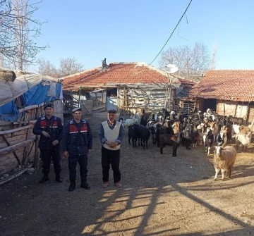 Burdur’da kaybolan 70 küçükbaş hayvan, jandarma ekipleri tarafından bulundu
