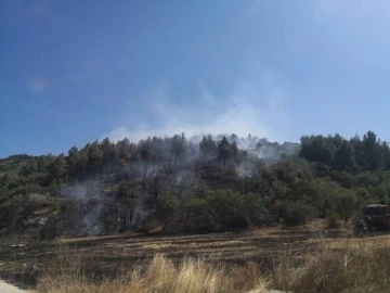 Burdur'da orman yangını